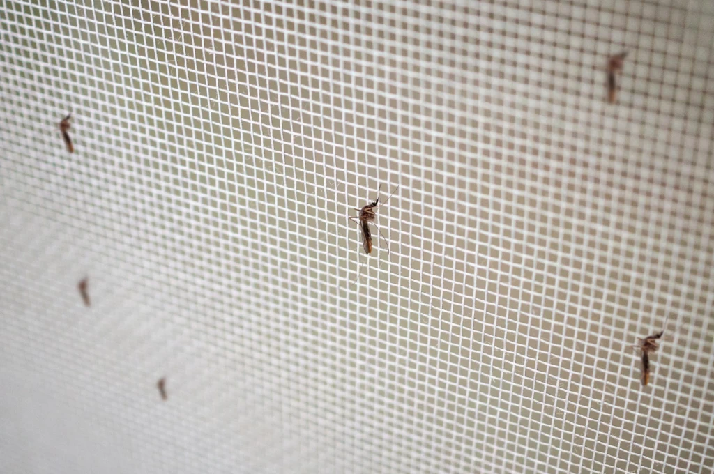 Moskitiery na okna przeciw owadom 